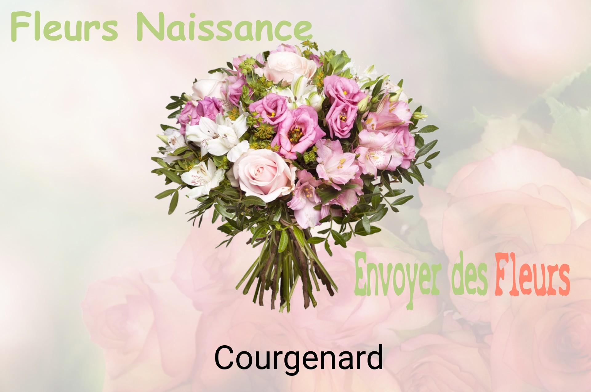 Bouquet de fleurs de naissance livré à Courgenard